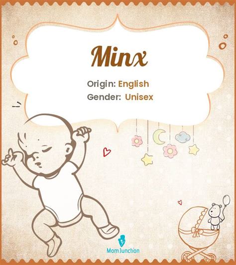mynx meaning|minx name meaning.